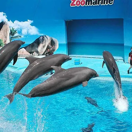 Ancora Na Appartement Portimão