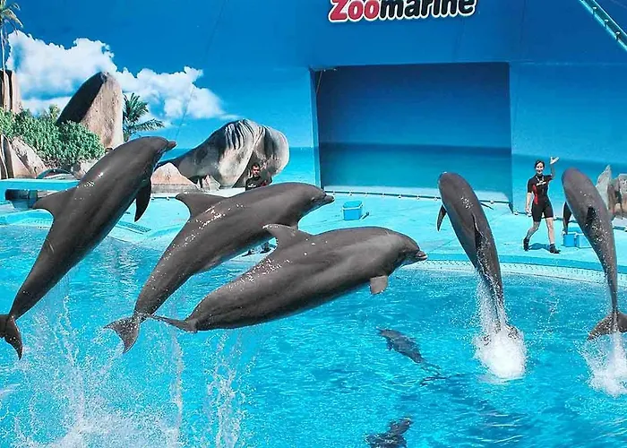 Ancora Na Apartamento Portimão